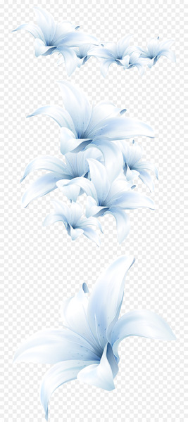 Flower bouquet Lilium candidum Lotion - Lily bouquet 