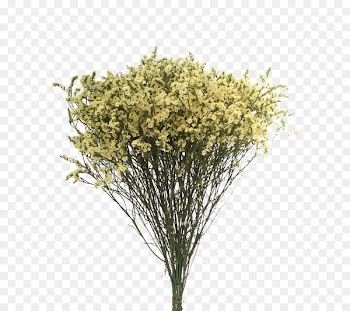Flower bouquet Nosegay Wedding - Dried Bouquet 