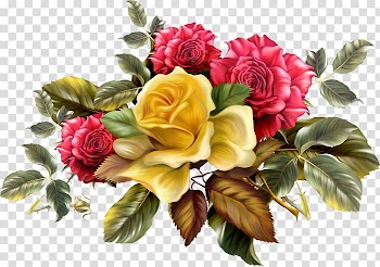 Flower bouquet Plate-bande Interflora Bloempjesluis, flower transparent background PNG clipart