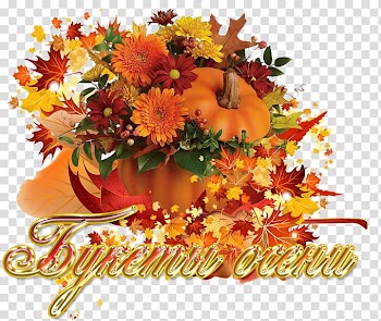 Flower bouquet Pumpkin Floral Scents Floral design, flower transparent background PNG clipart