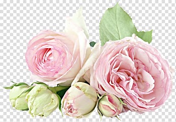 Flower bouquet Rose Birthday Birth flower, flower transparent background PNG clipart