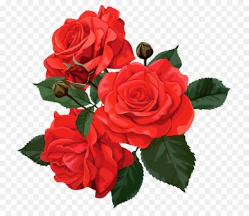 Flower bouquet Rose Clip art - Red roses with thorns 