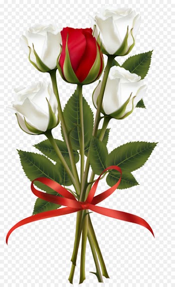 Flower bouquet Rose Clip art - white roses 