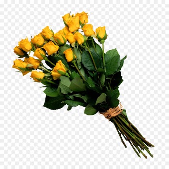 Flower bouquet Rose Cut flowers - bucket 
