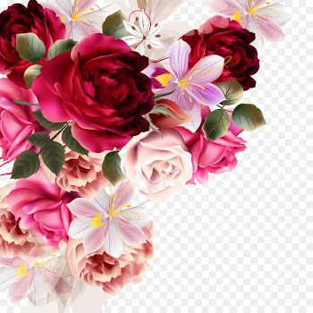 Flower bouquet Rose Drawing - Beautiful flowers vector material painting plant 