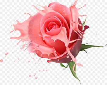 Flower bouquet Rose Drawing - Floral design 