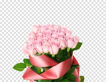 Flower bouquet Rose Floristry , White Rose transparent background PNG clipart