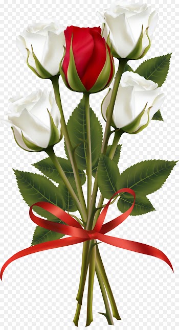 Flower Bouquet, Rose, Flower, Flowering Plant PNG