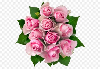 Flower bouquet Rose Pink Clip art - Transparent Pink Roses Bouquet PNG Clipart Picture 