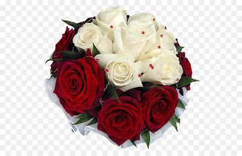 Flower bouquet Rose Red Clip art - Whire and Red Rose Bouquet PNG Transparent Picture 