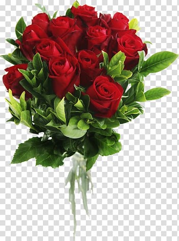 Flower bouquet Rose, rose transparent background PNG clipart