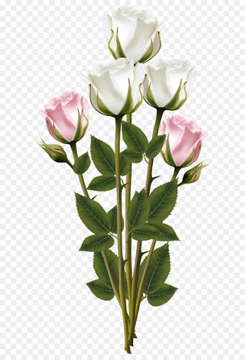 Flower bouquet Scalable Vector Graphics - White and Pink Rose Bouquet Transparent PNG Clip Art Image 