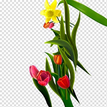 Flower bouquet Tulip Floral design, A bouquet of flowers transparent background PNG clipart