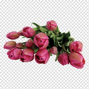 Flower bouquet , Tulip flowers transparent background PNG clipart