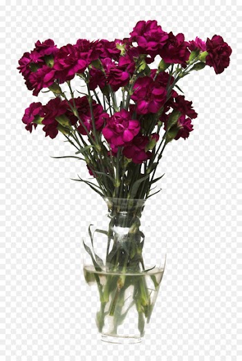 Flower bouquet Vase Photography - Vase of flowers 