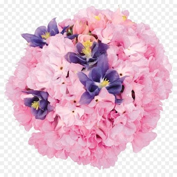 Flower bouquet Wedding Clip art - Hydrangea flower cluster 