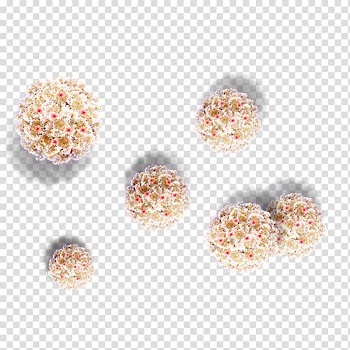 Flower bouquet White, White ball bouquet wedding material transparent background PNG clipart