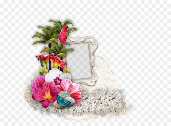Flower boxes 