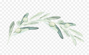 Flower, Branching, Plant PNG