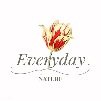 Flower brand logo template | Free stock vector - 564227