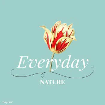 Flower brand logo template | Free stock vector - 564267