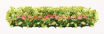 Flower bush collage element, nature | Free PSD - rawpixel