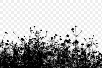 Flower bush png border nature | Free PNG - rawpixel