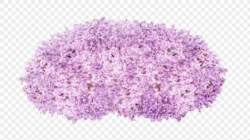 Flower bush png sticker on transparent | Free PNG - rawpixel