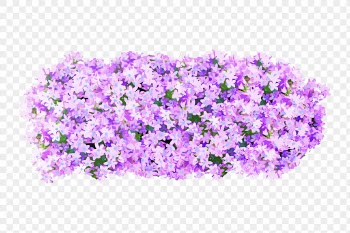Flower bush png sticker on transparent | Free PNG - rawpixel