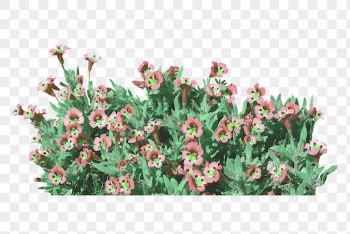 Flower bush png sticker, transparent | Free PNG - rawpixel