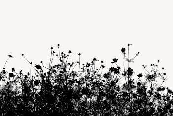 Flower bush silhouette border, nature | Free Photo - rawpixel