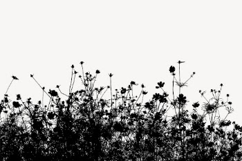Flower bush silhouette border, nature | Free PSD - rawpixel