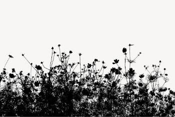 Flower bush silhouette border, nature | Free Vector - rawpixel