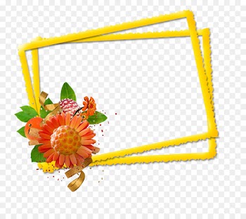 Flower, Centerblog, Floral Design, Plant PNG