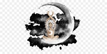 Flower Child Moon Photographer - moon goddess 