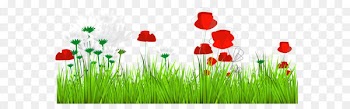 Flower Clip art - Art Grass Decor PNG Clipart 