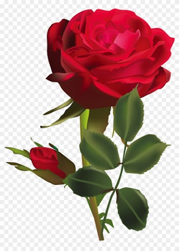 Flower Clip Art - Dark Red Rose Flower