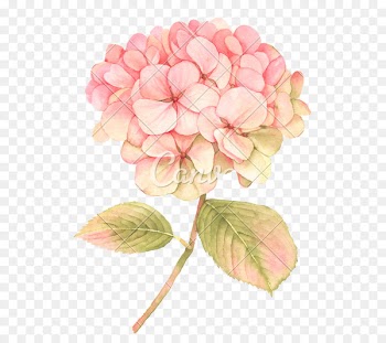Flower Clip art Floral design Blossom Illustration - flower 