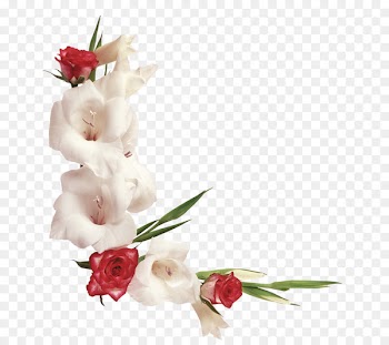 Flower Clip art - Floral design Creative floral illustration 
