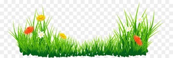Flower Clip art - flower 