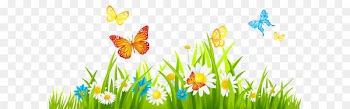 Flower Clip art - Grass Ground with Flowers and Butterflies PNG Clipart 