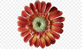 Flower Clip art Image Drawing Illustration - flower 