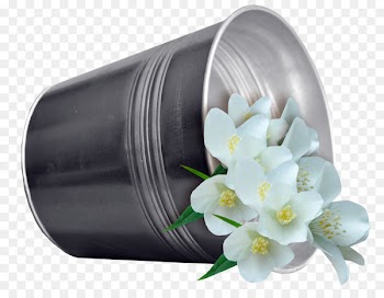 Flower Clip art - Iron flowers 