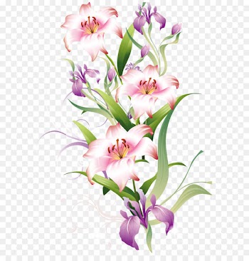 Flower Clip art - Lilium Decoration PNG Clipart Picture 