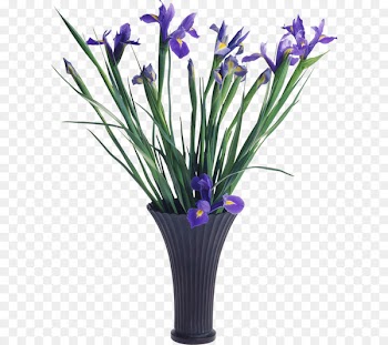 Flower Clip art - Purple Iris 