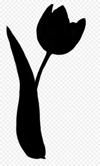 Flower Clip art Silhouette -  