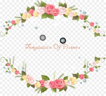 Flower Clip art - Vector Korean Roses Border 2 