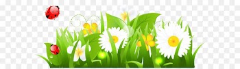 Flower Clip art - White Flowers Grass and Ladybugs PNG Clipart Picture 