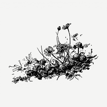 Flower  clipart, black & | Free PSD - rawpixel