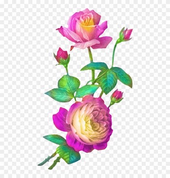 Flower Clipart, Painted Rocks, Rock Painting, Florals, - Garden Roses